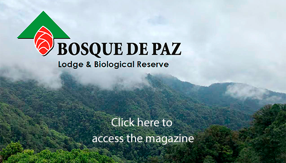 Click here to access the magazine